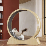 Cat Treadmill Workout Game Trainer Cat Exercise Wheel for Running Exercising Medium - Aladdin Shoppers