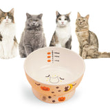 Raised Cat Food Bowl Non Slip Pet Bowls Drinking Bowl Dog Bowl Pet Feeder Water Bowl Paw - Aladdin Shoppers