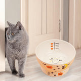 Raised Cat Food Bowl Non Slip Pet Bowls Drinking Bowl Dog Bowl Pet Feeder Water Bowl Paw - Aladdin Shoppers