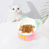 Elevated Cat Food Bowl Pet Feeding Bowl Non Slip Raised Tilted Pet Feeder Pink - Aladdin Shoppers