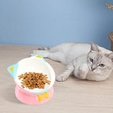 Elevated Cat Food Bowl Pet Feeding Bowl Non Slip Raised Tilted Pet Feeder Pink - Aladdin Shoppers