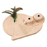 Cat Scratcher Durable Practical Cat Scratching Board for Kitty Training Snail - Aladdin Shoppers