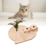Cat Scratcher Durable Practical Cat Scratching Board for Kitty Training Snail - Aladdin Shoppers