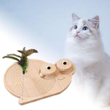 Cat Scratcher Durable Practical Cat Scratching Board for Kitty Training Snail - Aladdin Shoppers