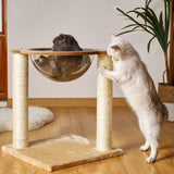 Durable Cat Scratch Post Plush Perch Kitten Scratcher Cats Climbing Frame - Aladdin Shoppers