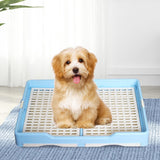 Indoor Pet Training Toilet Tray Puppy Pee Tray Potty Trainer for Kitten M Blue - Aladdin Shoppers