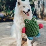 Pet Chew Toy Pet Vocal Toy Increase IQ Playing Interactive Dog Squeaky Toys Frog - Aladdin Shoppers