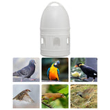 Pigeon Water Dispenser Feeder Large Capacity Bird Drinker for Parakeet White - Aladdin Shoppers