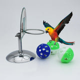 Maxbell Maxbell Bird Training Basketball Toys Parrot Intelligence Toy with 1 Stand 3 Balls