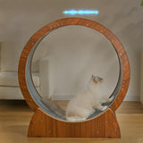 Pet Cat Running Wheel Exercise Treadmill Kitten Toys Wood Furniture - Aladdin Shoppers