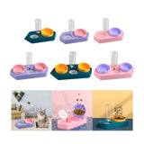 Dot Bowls with Water Dispenser Wet and Dry Food Bowls Set Pet Feeder Waterer double violet - Aladdin Shoppers
