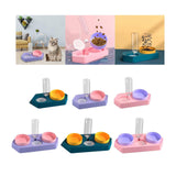 Dot Bowls with Water Dispenser Wet and Dry Food Bowls Set Pet Feeder Waterer double violet - Aladdin Shoppers