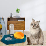 Dot Bowls with Water Dispenser Wet and Dry Food Bowls Set Pet Feeder Waterer double blue - Aladdin Shoppers