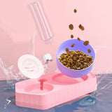 Dot Bowls with Water Dispenser Wet and Dry Food Bowls Set Pet Feeder Waterer double pink - Aladdin Shoppers