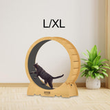 Pet Cat Wheel Exercise Treadmill Sports Climbing Frame Noiseless Roller 100cm - Aladdin Shoppers