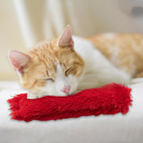 Cat Catnip Toy Chewing Durable Scratching Training toy Indoor Cats Red - Aladdin Shoppers