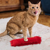 Cat Catnip Toy Chewing Durable Scratching Training toy Indoor Cats Red - Aladdin Shoppers