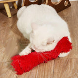 Cat Catnip Toy Chewing Durable Scratching Training toy Indoor Cats Red - Aladdin Shoppers