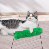 Cat Catnip Toy Chewing Durable Scratching Training toy Indoor Cats Green - Aladdin Shoppers