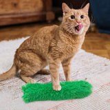 Cat Catnip Toy Chewing Durable Scratching Training toy Indoor Cats Green - Aladdin Shoppers