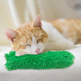 Cat Catnip Toy Chewing Durable Scratching Training toy Indoor Cats Green - Aladdin Shoppers