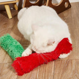 Cat Catnip Toy Chewing Durable Scratching Training toy Indoor Cats Green - Aladdin Shoppers