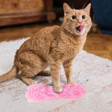 Cat Catnip Toy Chewing Durable Scratching Training toy Indoor Cats Pink - Aladdin Shoppers