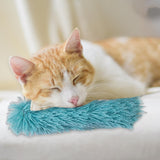 Cat Catnip Toy Chewing Durable Scratching Training toy Indoor Cats Cyan - Aladdin Shoppers