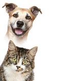 Maxbell Maxbell Pet Urns Remembrance Loose Memorial Pets Gift Casket Cremation Memorial Urn Blue