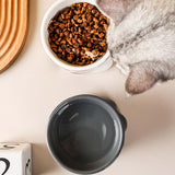 Maxbell Maxbell Cute Cat Dog Bowl Feeding Dish Smooth Surface Easy Cleaning for Drinking Gray