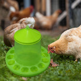 Chicken Feeder with Feeding Holes Hanging feed Dispenser Visible for Duck 12kg - Aladdin Shoppers