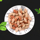 Dog Treats High Motivation Easily Hide Meat Roll Sausage Soft Beef - Aladdin Shoppers