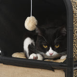 Mult Functional Cat Condo Climbing Frame Ball Indoor Cats Grind Claws Yellow - Aladdin Shoppers