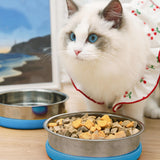 Cat Food Bowls Pets Dish Kitty Kitten Watering Supplies Waterer Feeder Dog Blue - Aladdin Shoppers