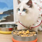 Cat Food Bowls Pets Dish Kitty Kitten Watering Supplies Waterer Feeder Dog Orange - Aladdin Shoppers