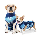 Dog Recovery Suit After Surgery Shirt Abdominal Wound Protect for Puppy XXL Blue - Aladdin Shoppers