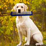 Portable Bike Dog Walker Traction Rope Detachable for Dog Outdoor Sports - Aladdin Shoppers