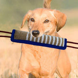 Portable Bike Dog Walker Traction Rope Detachable for Dog Outdoor Sports - Aladdin Shoppers