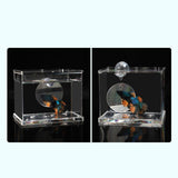 Portable Fighting Fish Training Mirror Transparent Betta for Fishing Viewing L - Aladdin Shoppers