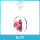Portable Fighting Fish Training Mirror Transparent Betta for Fishing Viewing L - Aladdin Shoppers