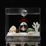Portable Fighting Fish Training Mirror Transparent Betta for Fishing Viewing L - Aladdin Shoppers