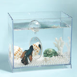 Portable Fighting Fish Training Mirror Transparent Betta for Fishing Viewing L - Aladdin Shoppers