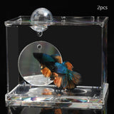 Portable Fighting Fish Training Mirror Transparent Betta for Fishing Viewing 2 Piece L - Aladdin Shoppers