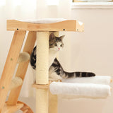 Cat Climbing Frame Activity Center Platform Bed Cat Scratcher for Kitten Style B - Aladdin Shoppers