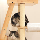 Cat Climbing Frame Activity Center Platform Bed Cat Scratcher for Kitten Style B - Aladdin Shoppers
