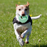 Portable Dog Treat Ball Interactive Puzzle Toy Training IQ Bite Resistant Green - Aladdin Shoppers