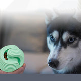 Portable Dog Treat Ball Interactive Puzzle Toy Training IQ Bite Resistant Green - Aladdin Shoppers