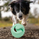 Portable Dog Treat Ball Interactive Puzzle Toy Training IQ Bite Resistant Green - Aladdin Shoppers