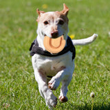 Portable Dog Treat Ball Interactive Puzzle Toy Training IQ Bite Resistant Orange - Aladdin Shoppers