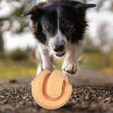 Portable Dog Treat Ball Interactive Puzzle Toy Training IQ Bite Resistant Orange - Aladdin Shoppers